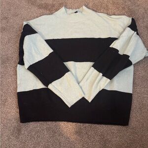 Ann Taylor Women’s Soft Green and Black Crewneck Sweater